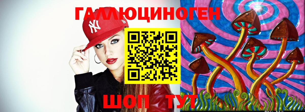 Чебоксары  Псилоцибиновые грибы Psilocybe  Вход с VPN 