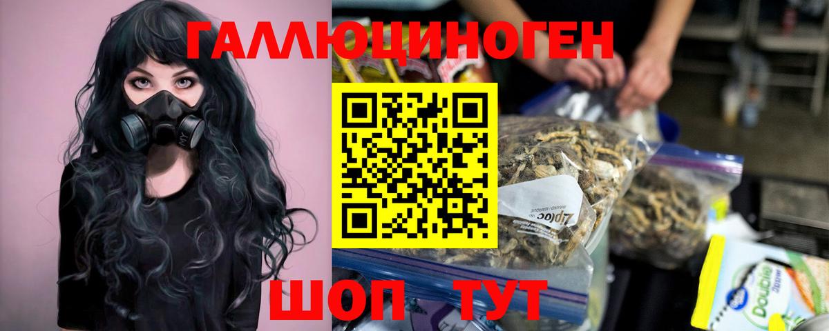 Псилоцибиновые грибы прущие грибы Чебоксары